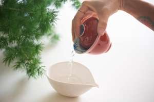 four-seasons-gaiwan-bamboo-4