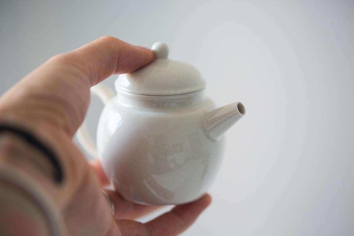 fundamental duozhi teapot 8 | BITTERLEAF TEAS