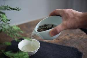 fundamental-green-tea-gongdaobei-6