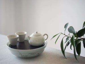 fundamental xishi teapot 1 | BITTERLEAF TEAS