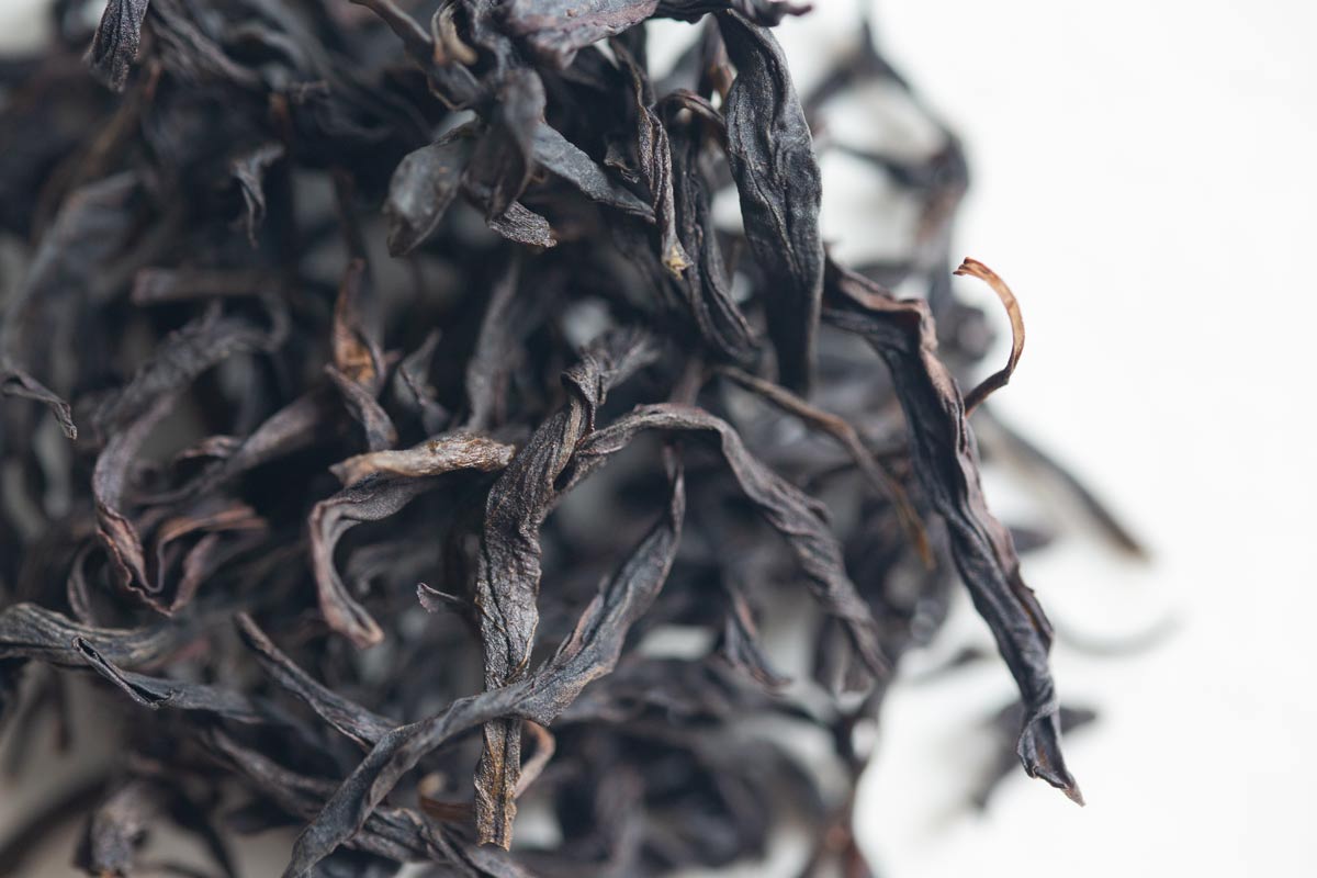 high flyer 2023 spring potou dancong 1 | BITTERLEAF TEAS high flyer 2023 spring potou dancong 1 | BITTERLEAF TEAS