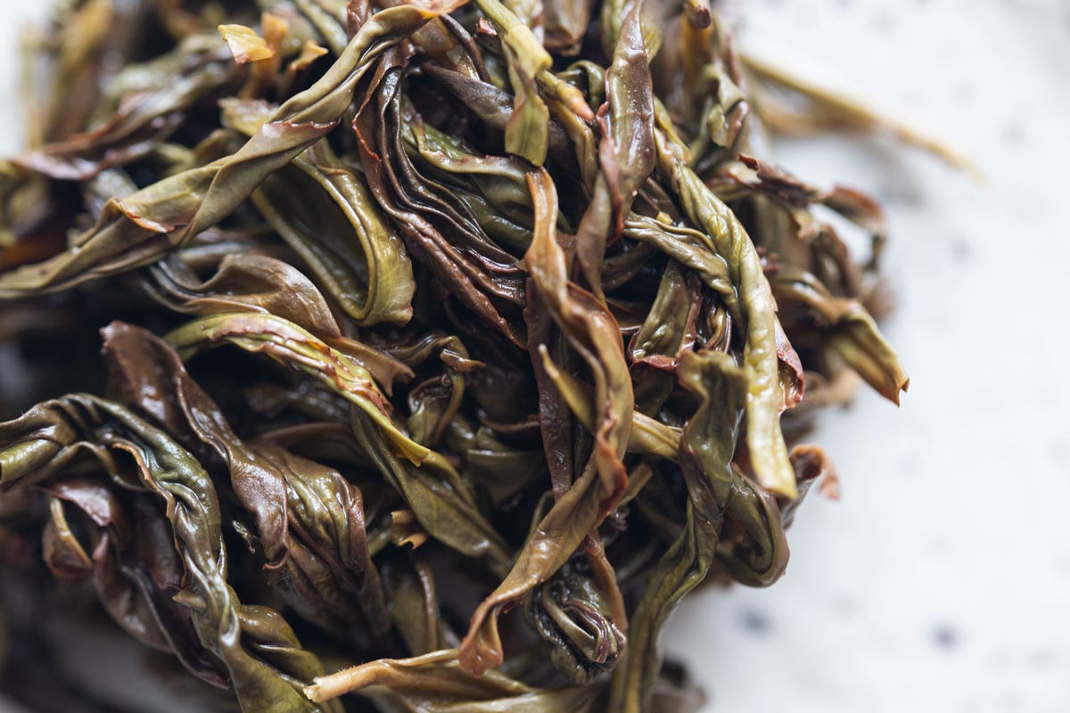 high flyer 2023 spring potou dancong 4 | BITTERLEAF TEAS high flyer 2023 spring potou dancong 4 | BITTERLEAF TEAS