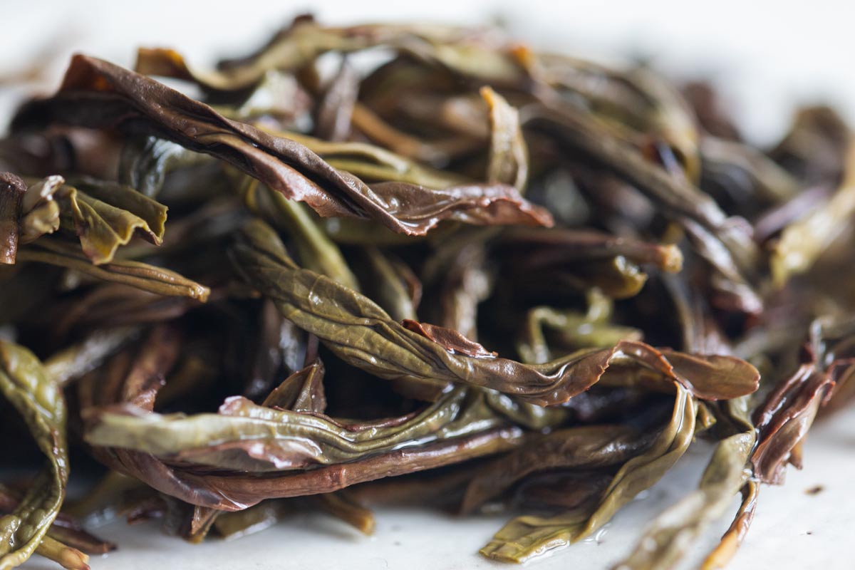 high flyer 2023 spring potou dancong 5 | BITTERLEAF TEAS high flyer 2023 spring potou dancong 5 | BITTERLEAF TEAS