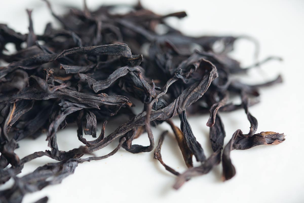 in the rough 2023 spring chahu songzhong dancong 2 | BITTERLEAF TEAS in the rough 2023 spring chahu songzhong dancong 2 | BITTERLEAF TEAS