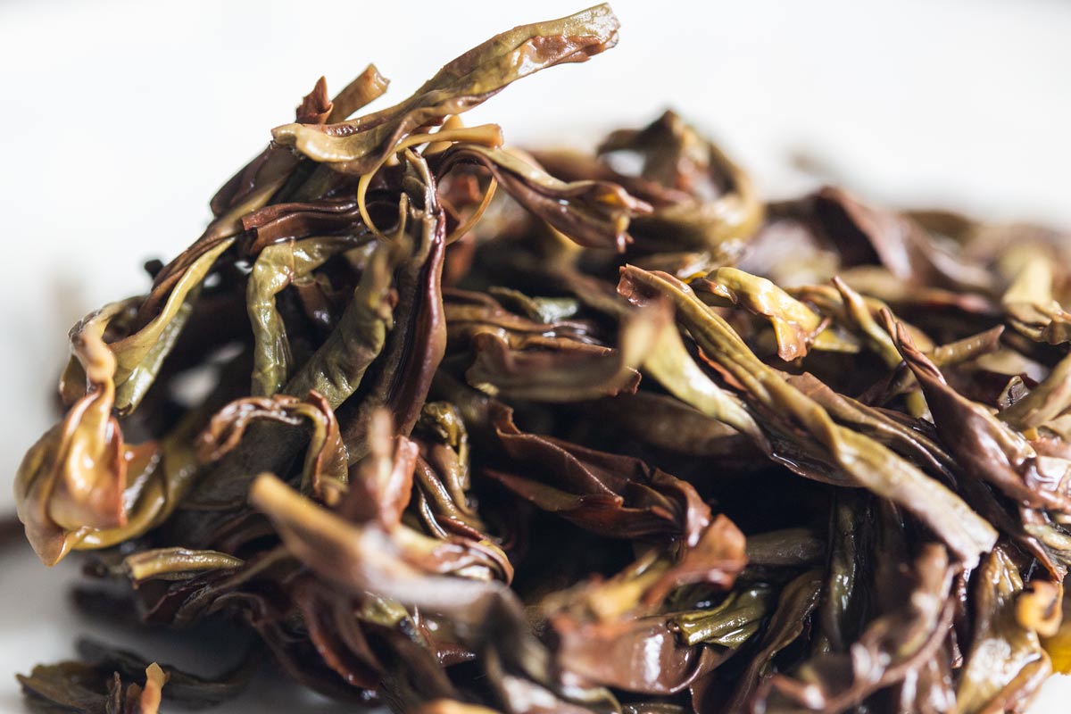in the rough 2023 spring chahu songzhong dancong 5 | BITTERLEAF TEAS in the rough 2023 spring chahu songzhong dancong 5 | BITTERLEAF TEAS