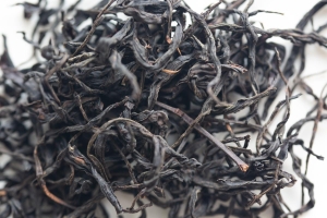 milan-overproof-2023-spring-milanxiang-dancong-black-tea-1