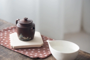 natural-habitat-jianshui-zitao-teapot-bird-ii-6