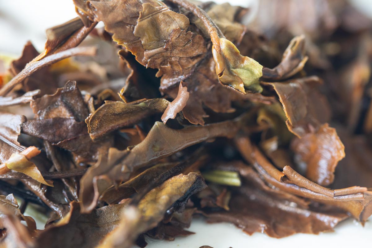 iron-silk-laomane-white-tea-9