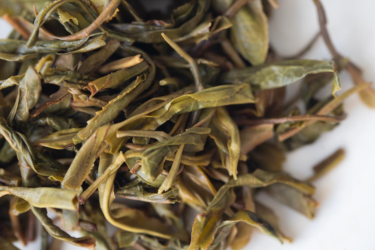 trade secret raw puer 9 | BITTERLEAF TEAS trade secret raw puer 9 | BITTERLEAF TEAS