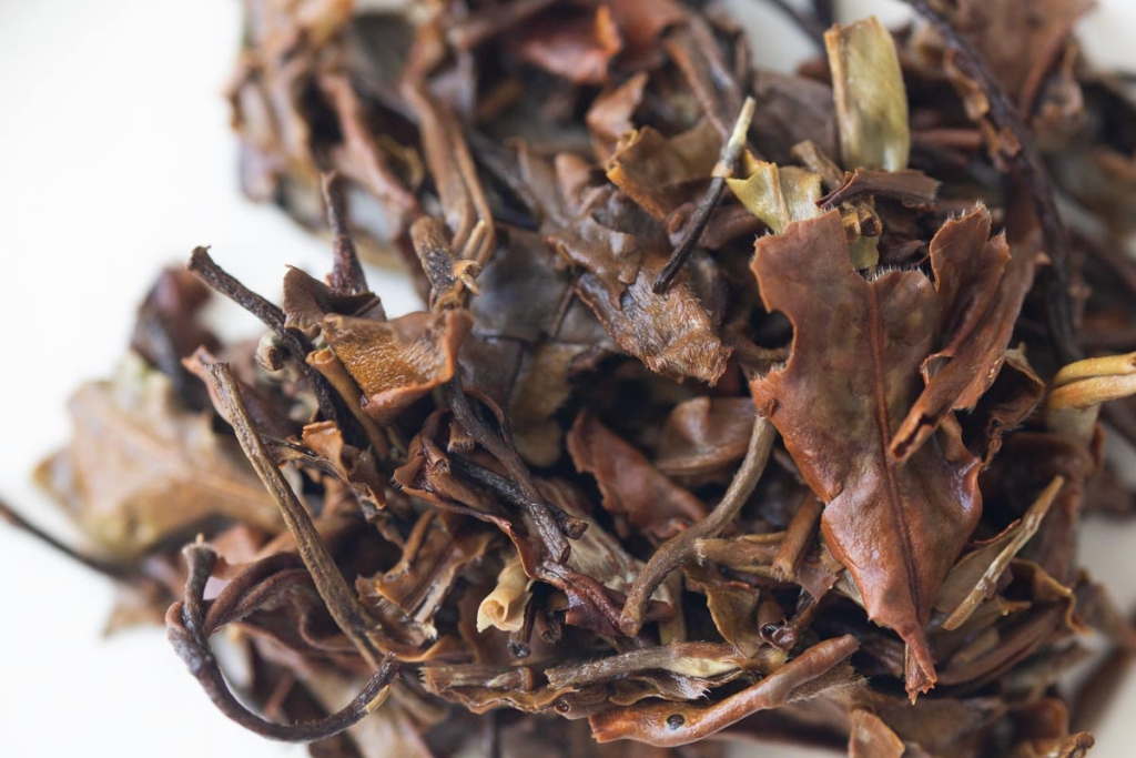 White Crow 2023 Lincang Shoumei White Tea | BITTERLEAF TEAS