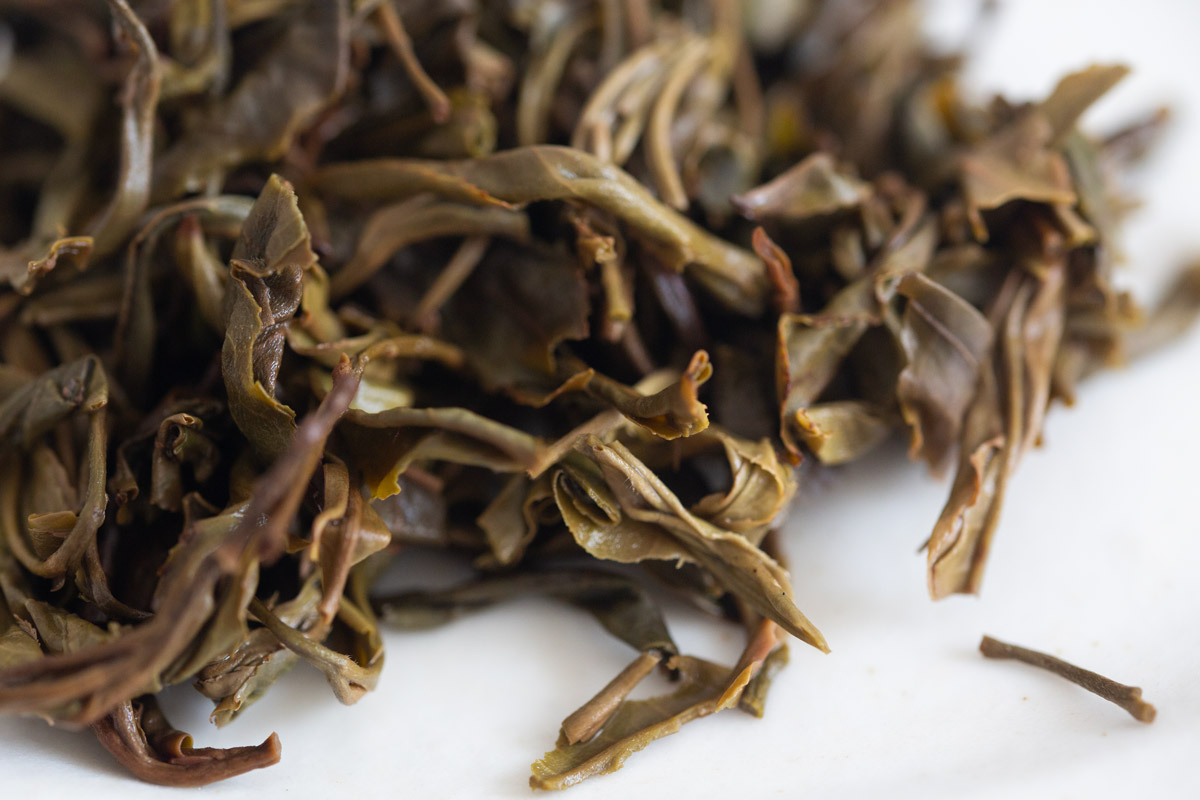 element 2023 raw puer 6 | BITTERLEAF TEAS element 2023 raw puer 6 | BITTERLEAF TEAS