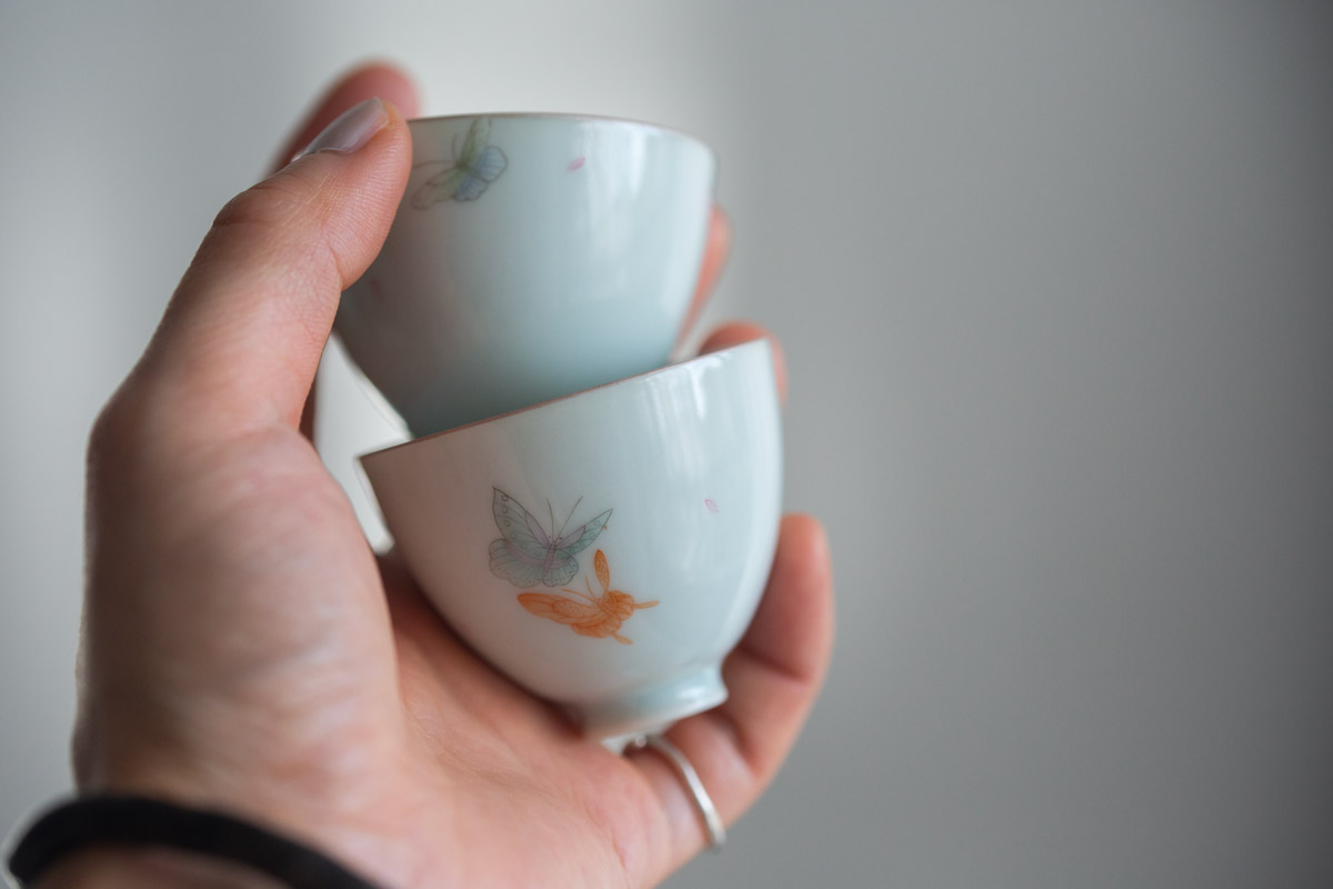 zephyr-teacup-butterfly-7