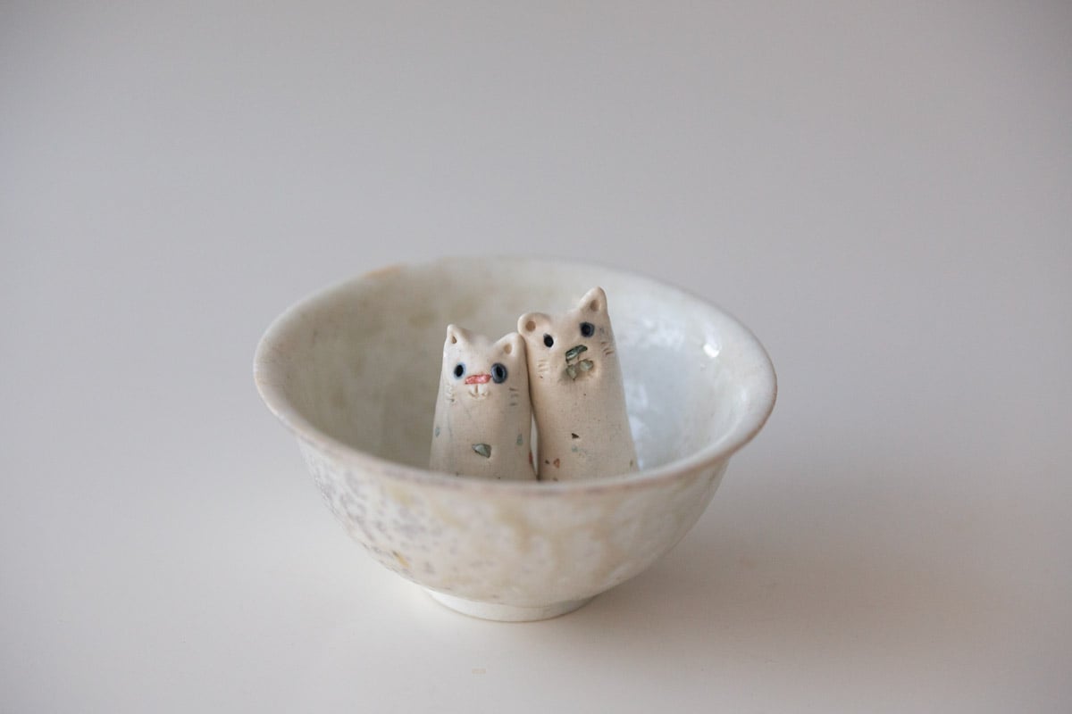 finger cat tea pet 8 | BITTERLEAF TEAS finger cat tea pet 8 | BITTERLEAF TEAS