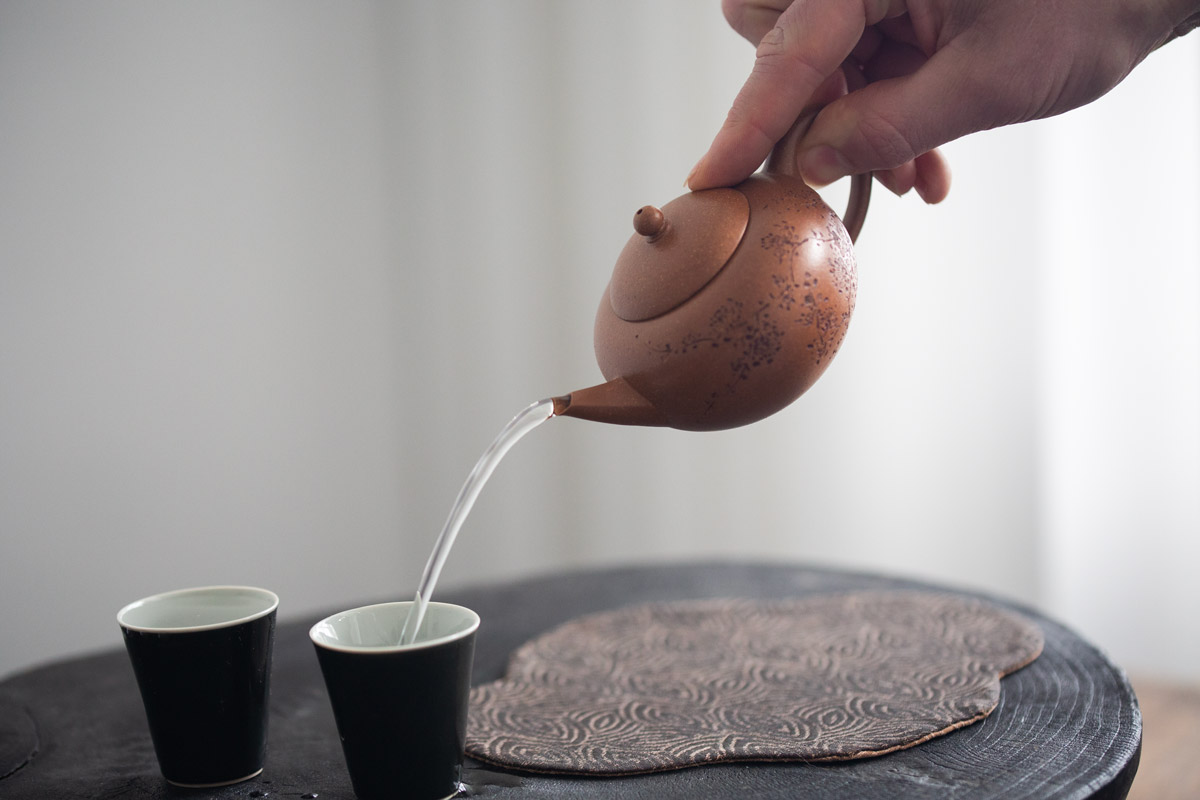 huayuan-shuiping-jiangponi-yixing-zisha-teapot-12