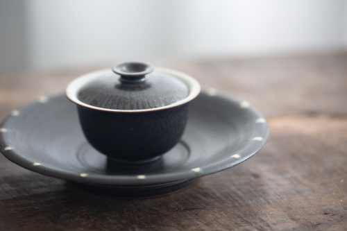 Hearth Lines Gaiwan