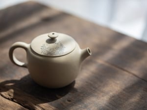natural habitat jianshui zitao teapot dragon 1 | BITTERLEAF TEAS
