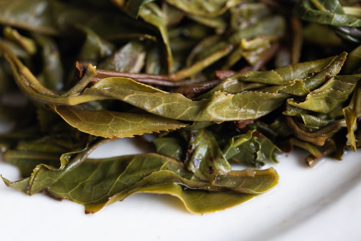 gemini 2024 spring kuzhushan raw puer tea 10 2 | BITTERLEAF TEAS gemini 2024 spring kuzhushan raw puer tea 10 2 | BITTERLEAF TEAS