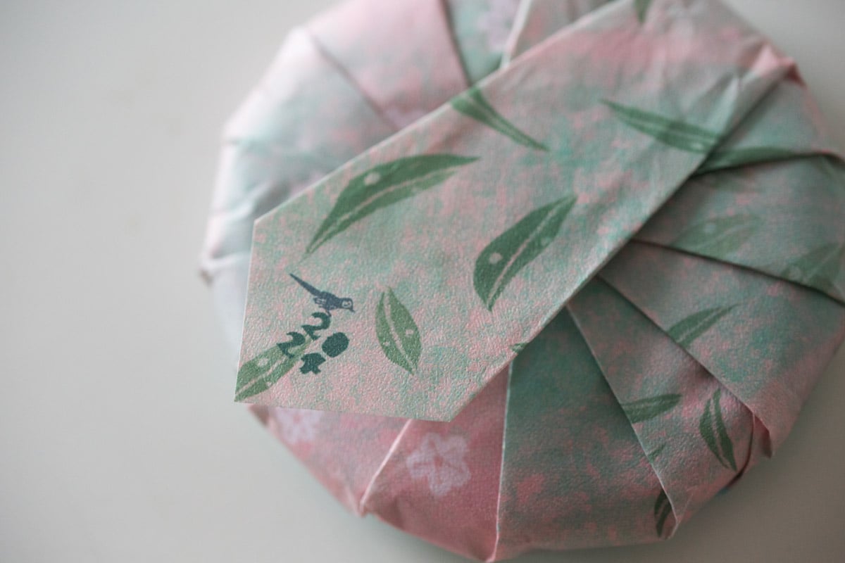 gemini 2024 spring kuzhushan raw puer tea 4 5 | BITTERLEAF TEAS gemini 2024 spring kuzhushan raw puer tea 4 5 | BITTERLEAF TEAS