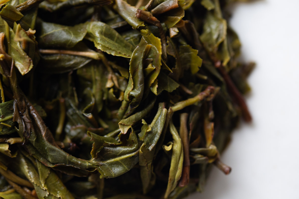 gemini 2024 spring kuzhushan raw puer tea 9 10 | BITTERLEAF TEAS gemini 2024 spring kuzhushan raw puer tea 9 10 | BITTERLEAF TEAS