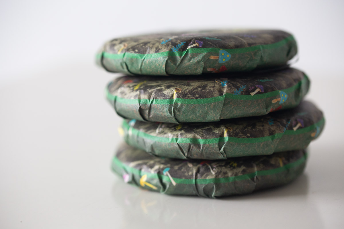 gentle giant 2024 spring pasha raw puer tea 5 | BITTERLEAF TEAS gentle giant 2024 spring pasha raw puer tea 5 | BITTERLEAF TEAS