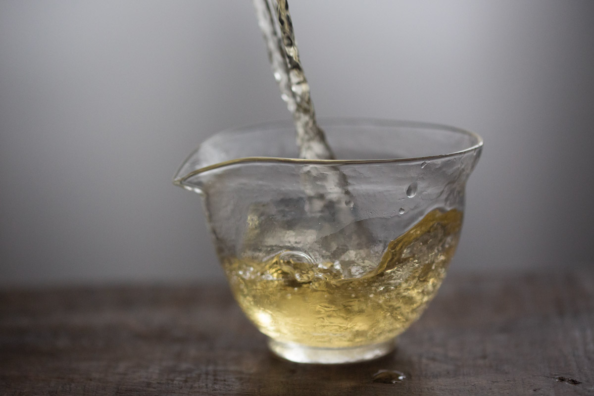 gentle giant 2024 spring pasha raw puer tea 8 | BITTERLEAF TEAS gentle giant 2024 spring pasha raw puer tea 8 | BITTERLEAF TEAS