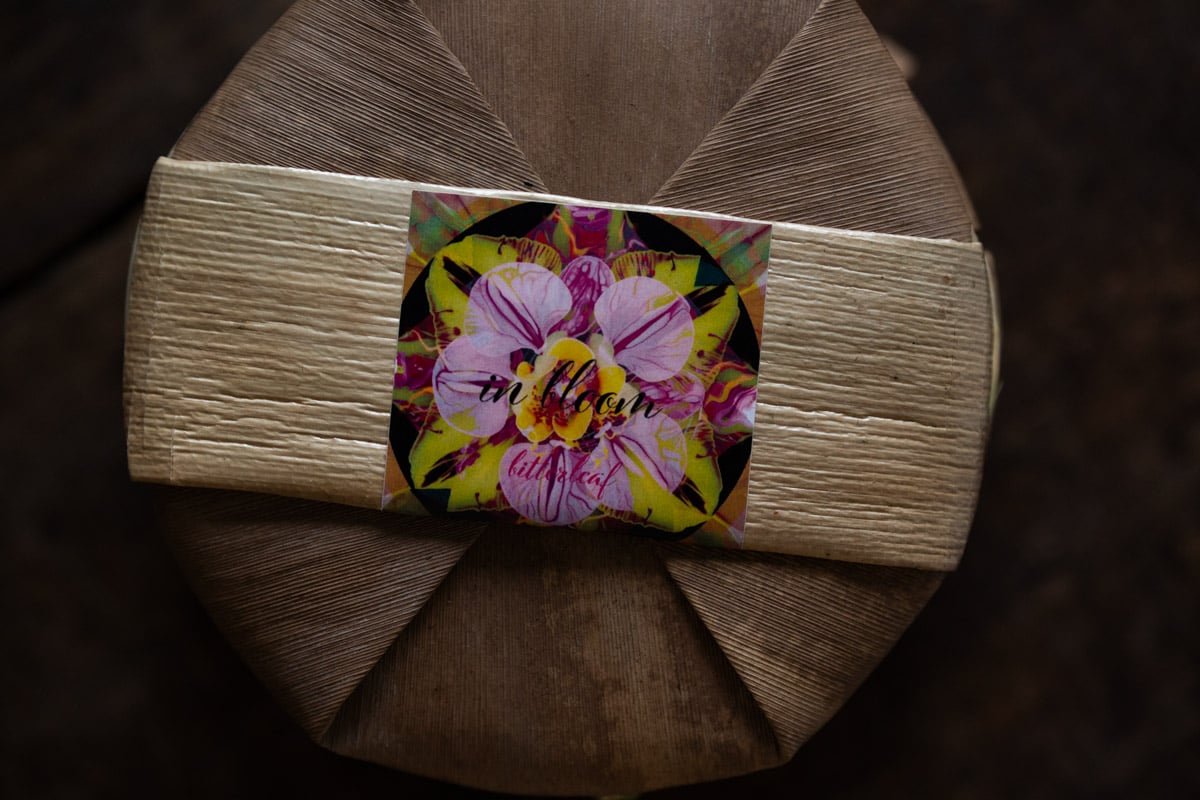 in bloom 2024 spring jingmai raw puer tea 10 | BITTERLEAF TEAS in bloom 2024 spring jingmai raw puer tea 10 | BITTERLEAF TEAS