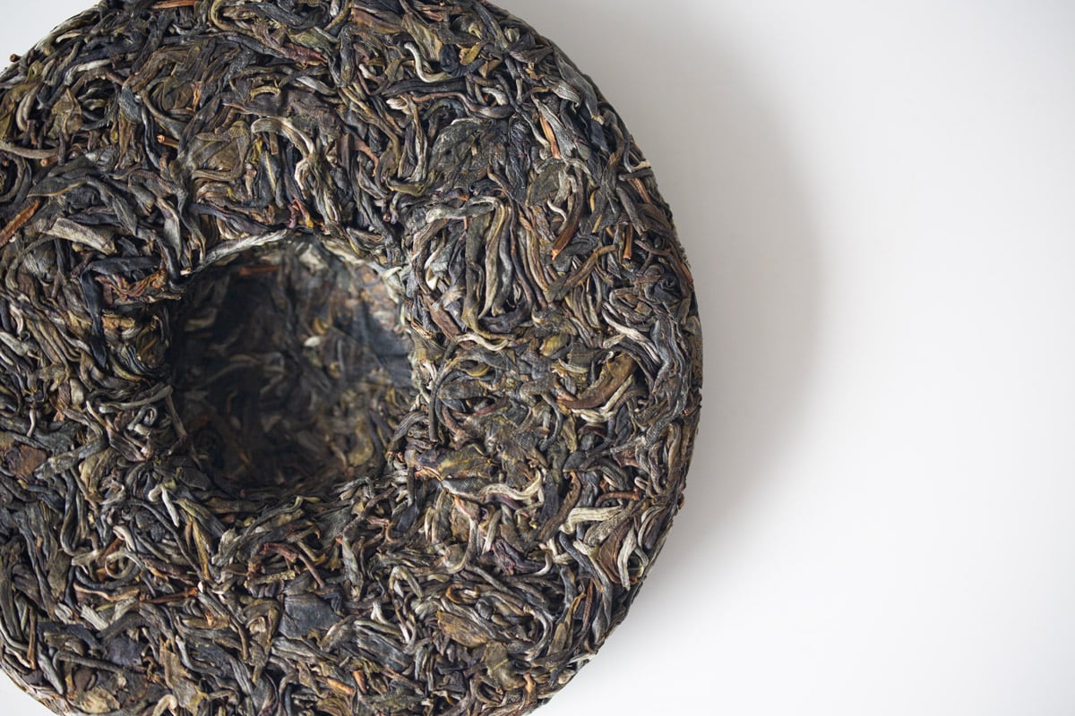 in bloom 2024 spring jingmai raw puer tea 5 | BITTERLEAF TEAS in bloom 2024 spring jingmai raw puer tea 5 | BITTERLEAF TEAS