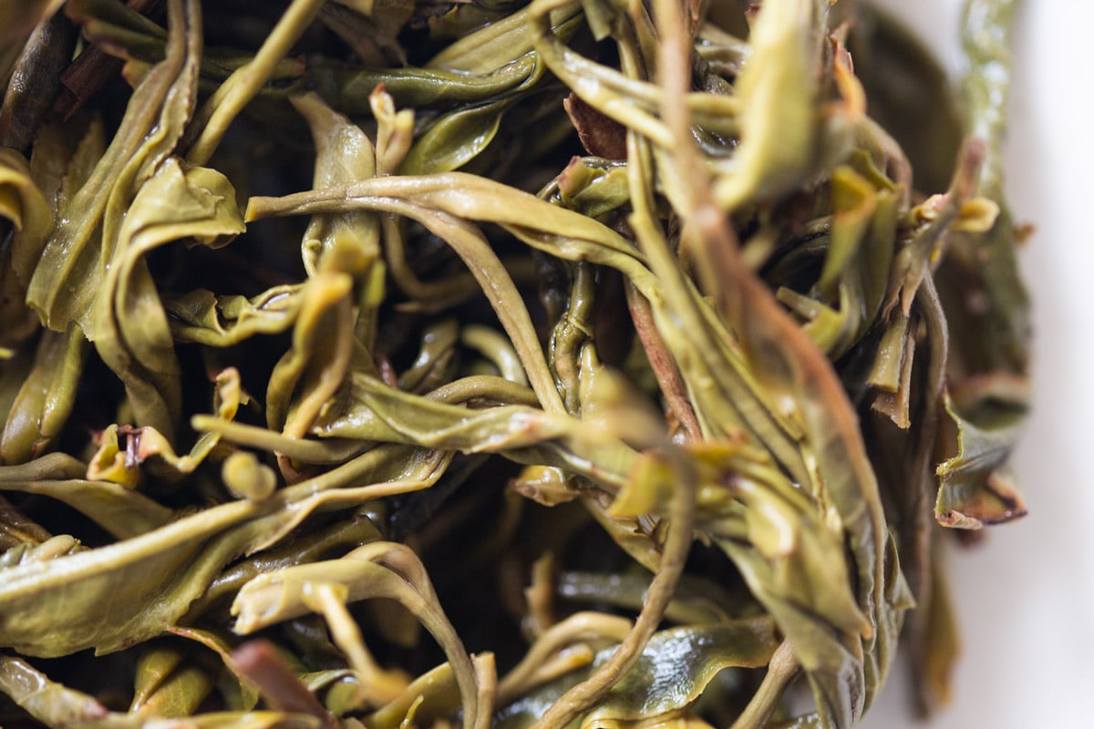 in bloom 2024 spring jingmai raw puer tea 8 | BITTERLEAF TEAS in bloom 2024 spring jingmai raw puer tea 8 | BITTERLEAF TEAS