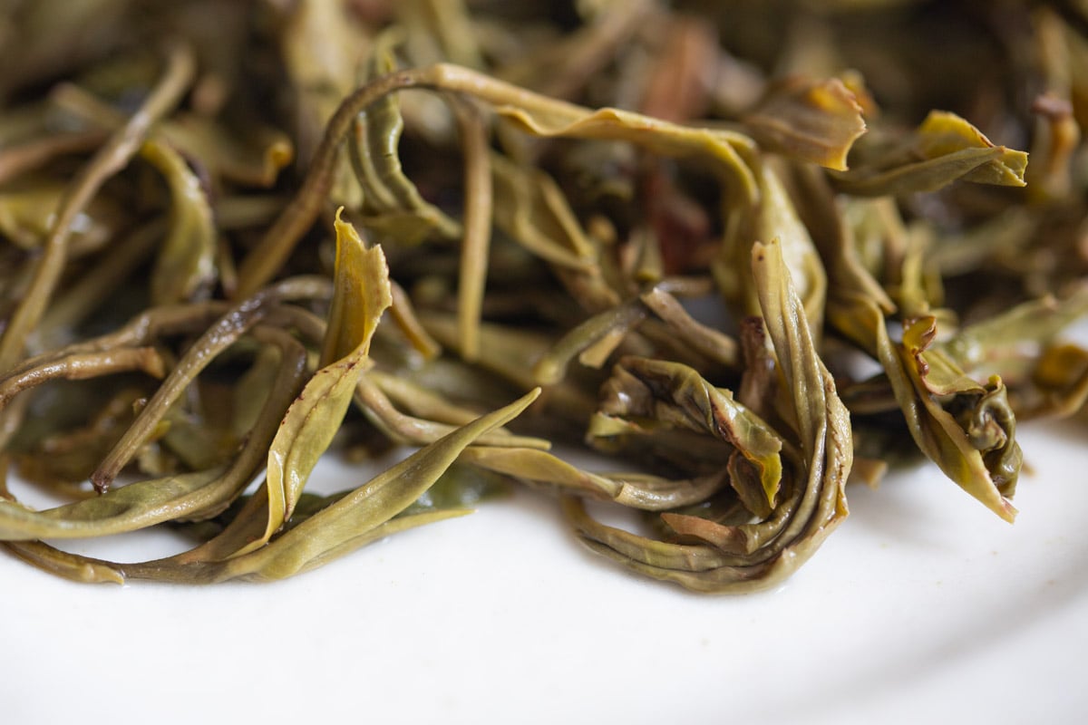 in bloom 2024 spring jingmai raw puer tea 9 | BITTERLEAF TEAS in bloom 2024 spring jingmai raw puer tea 9 | BITTERLEAF TEAS