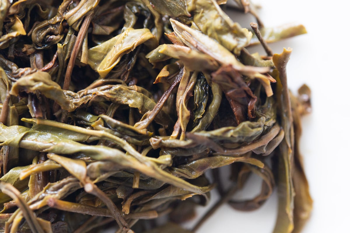 long live 2024 spring yiwu raw puer tea 7 | BITTERLEAF TEAS