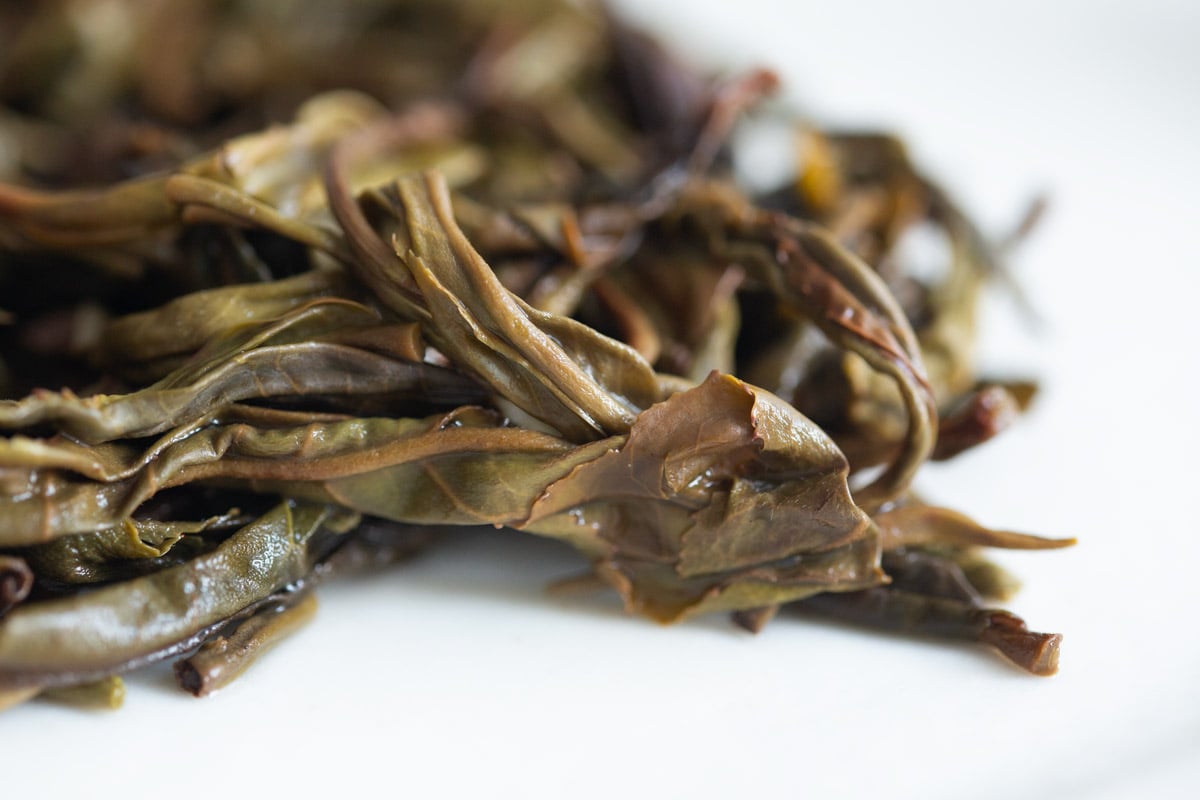 long live 2024 spring yiwu raw puer tea 8 | BITTERLEAF TEAS