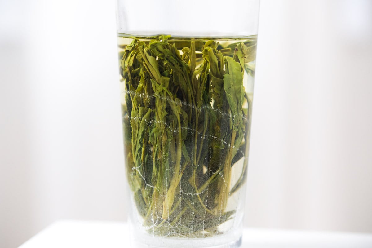 ★ BITTER CELLS★ Leaf See Through Tea Cream B254TS09CR Obsession 2024 Jiutaipo Raw Puer | BITTERLEAF TEAS