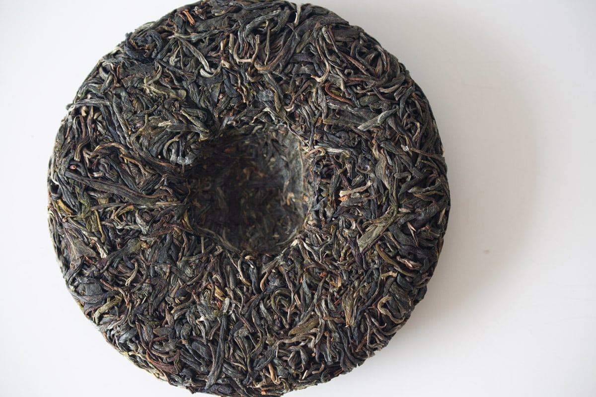 obsession 2024 spring jiutaipo raw puer tea 5 6 | BITTERLEAF TEAS obsession 2024 spring jiutaipo raw puer tea 5 6 | BITTERLEAF TEAS