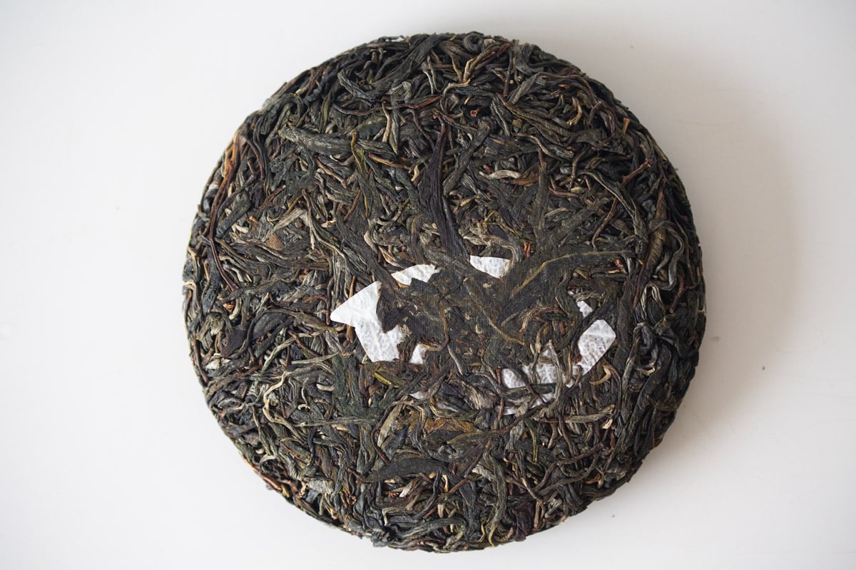 obsession 2024 spring jiutaipo raw puer tea 6 7 | BITTERLEAF TEAS obsession 2024 spring jiutaipo raw puer tea 6 7 | BITTERLEAF TEAS