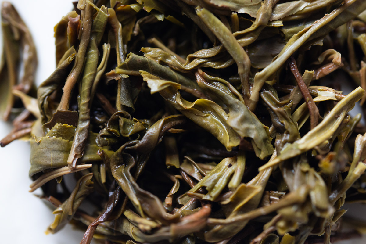 obsession 2024 spring jiutaipo raw puer tea 8 9 | BITTERLEAF TEAS obsession 2024 spring jiutaipo raw puer tea 8 9 | BITTERLEAF TEAS