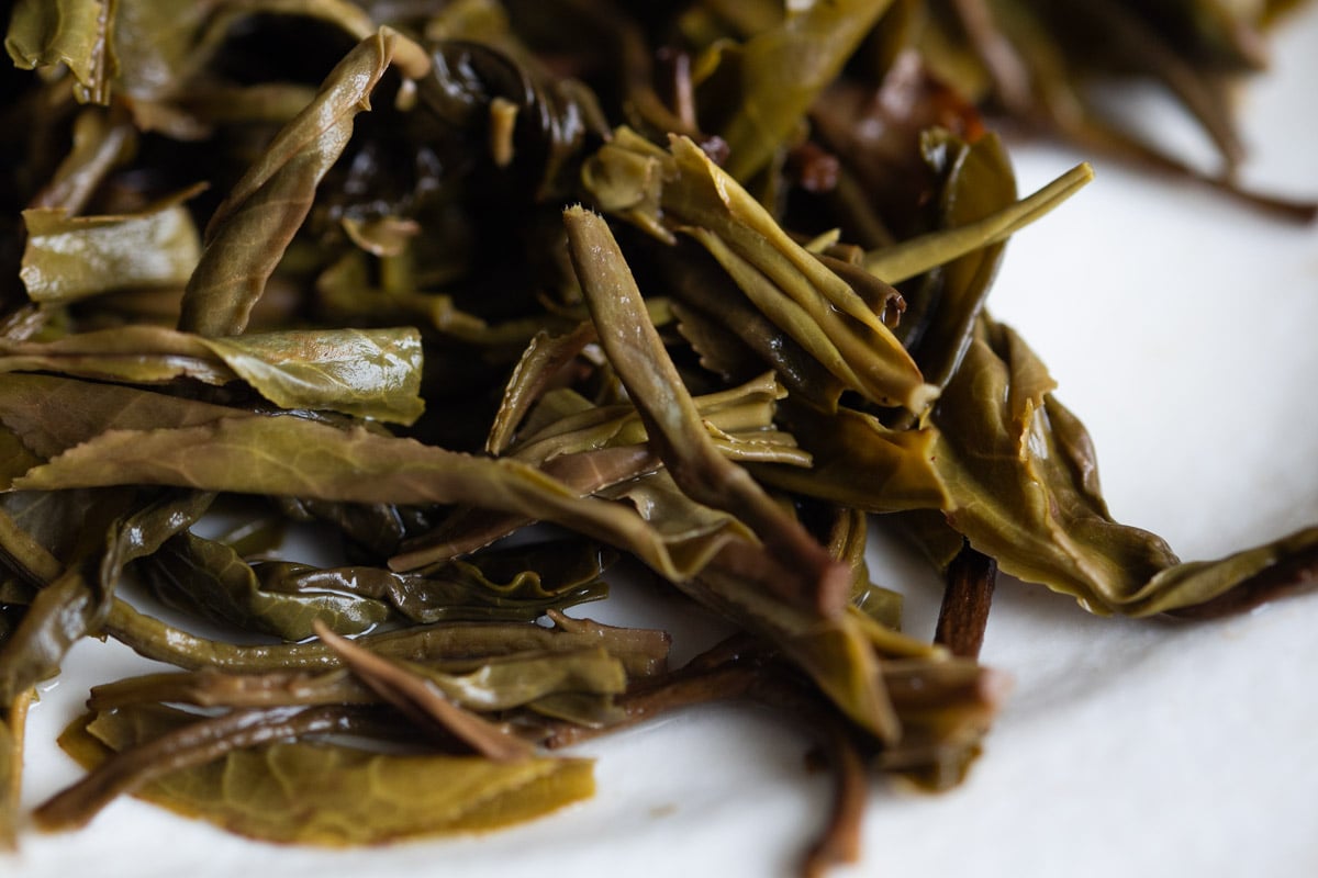 obsession 2024 spring jiutaipo raw puer tea 9 10 | BITTERLEAF TEAS obsession 2024 spring jiutaipo raw puer tea 9 10 | BITTERLEAF TEAS