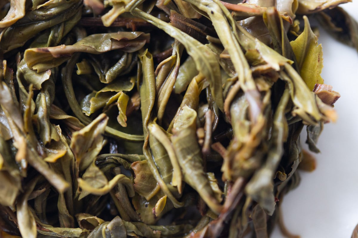 tko 2024 spring nanben mengsong raw puer tea 8 9 | BITTERLEAF TEAS tko 2024 spring nanben mengsong raw puer tea 8 9 | BITTERLEAF TEAS