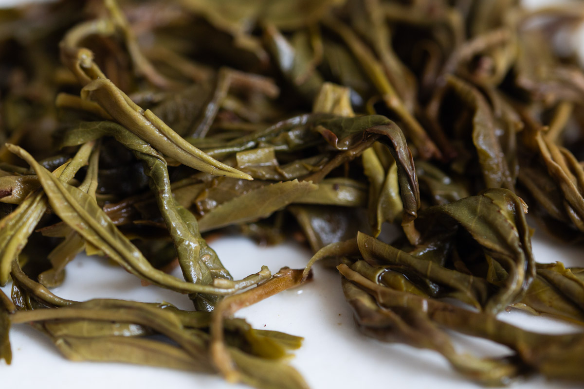 tko 2024 spring nanben mengsong raw puer tea 9 10 | BITTERLEAF TEAS tko 2024 spring nanben mengsong raw puer tea 9 10 | BITTERLEAF TEAS