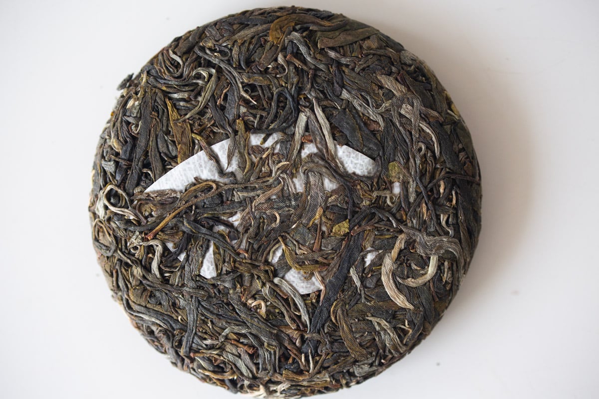 wanderlust 2024 spring daheishan yibang raw puer tea 6 7 | BITTERLEAF TEAS wanderlust 2024 spring daheishan yibang raw puer tea 6 7 | BITTERLEAF TEAS