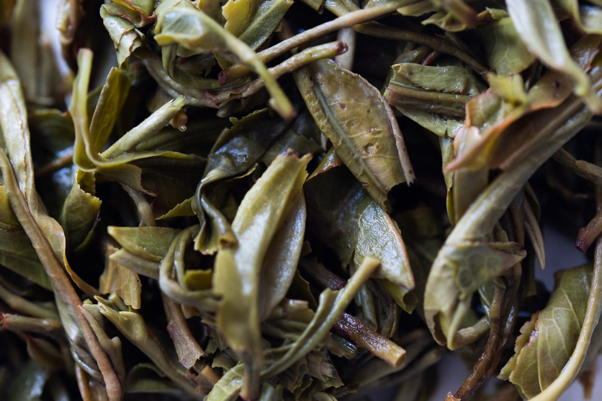 wanderlust 2024 spring daheishan yibang raw puer tea 8 9 | BITTERLEAF TEAS wanderlust 2024 spring daheishan yibang raw puer tea 8 9 | BITTERLEAF TEAS