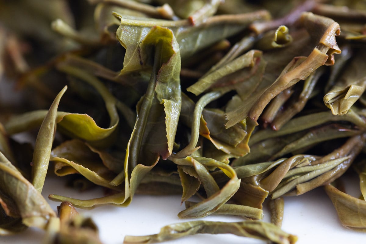 wanderlust 2024 spring daheishan yibang raw puer tea 9 10 | BITTERLEAF TEAS wanderlust 2024 spring daheishan yibang raw puer tea 9 10 | BITTERLEAF TEAS