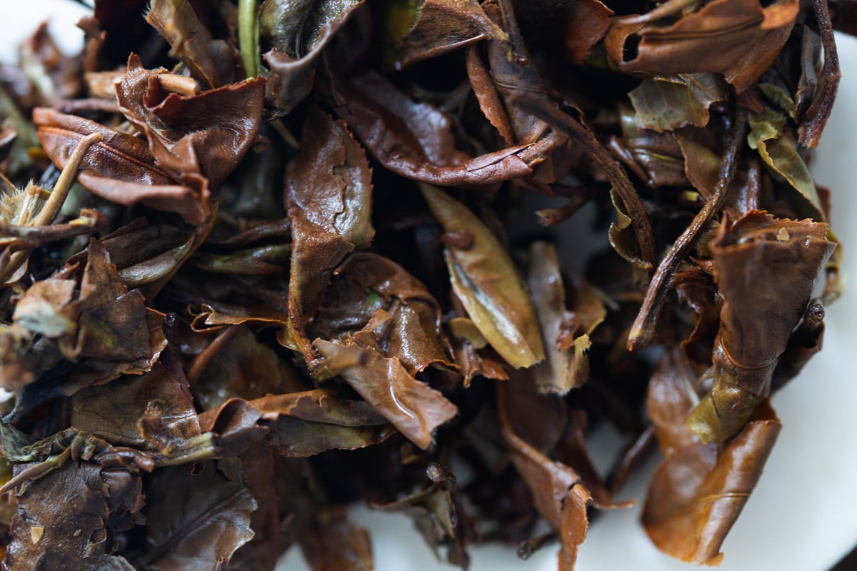 white dragon 2024 spring yiwu white tea 8 | BITTERLEAF TEAS white dragon 2024 spring yiwu white tea 8 | BITTERLEAF TEAS