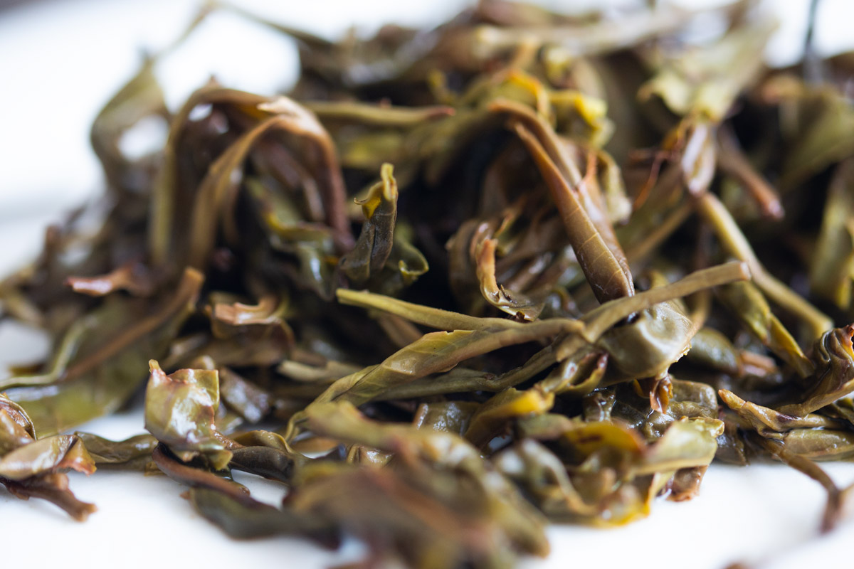 year of the dragon 2024 spring yiwu raw puer tea 9 | BITTERLEAF TEAS year of the dragon 2024 spring yiwu raw puer tea 9 | BITTERLEAF TEAS