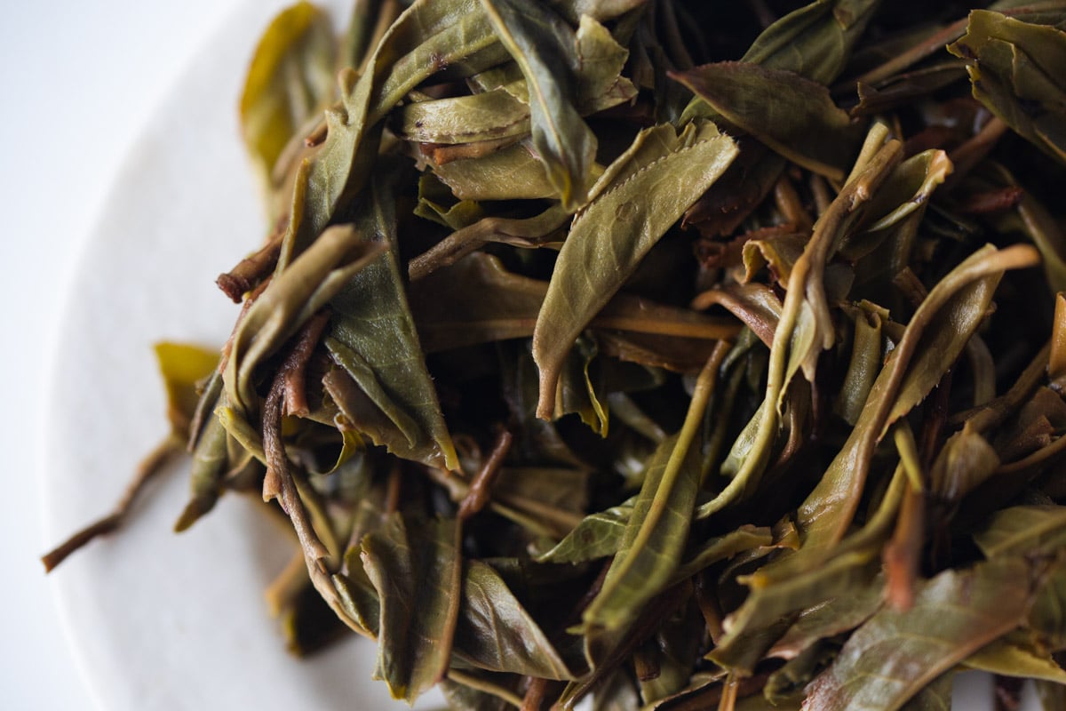 yes 2024 spring bohetang raw puer tea 8 | BITTERLEAF TEAS yes 2024 spring bohetang raw puer tea 8 | BITTERLEAF TEAS