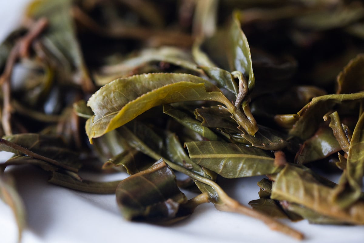 yes 2024 spring bohetang raw puer tea 9 | BITTERLEAF TEAS yes 2024 spring bohetang raw puer tea 9 | BITTERLEAF TEAS