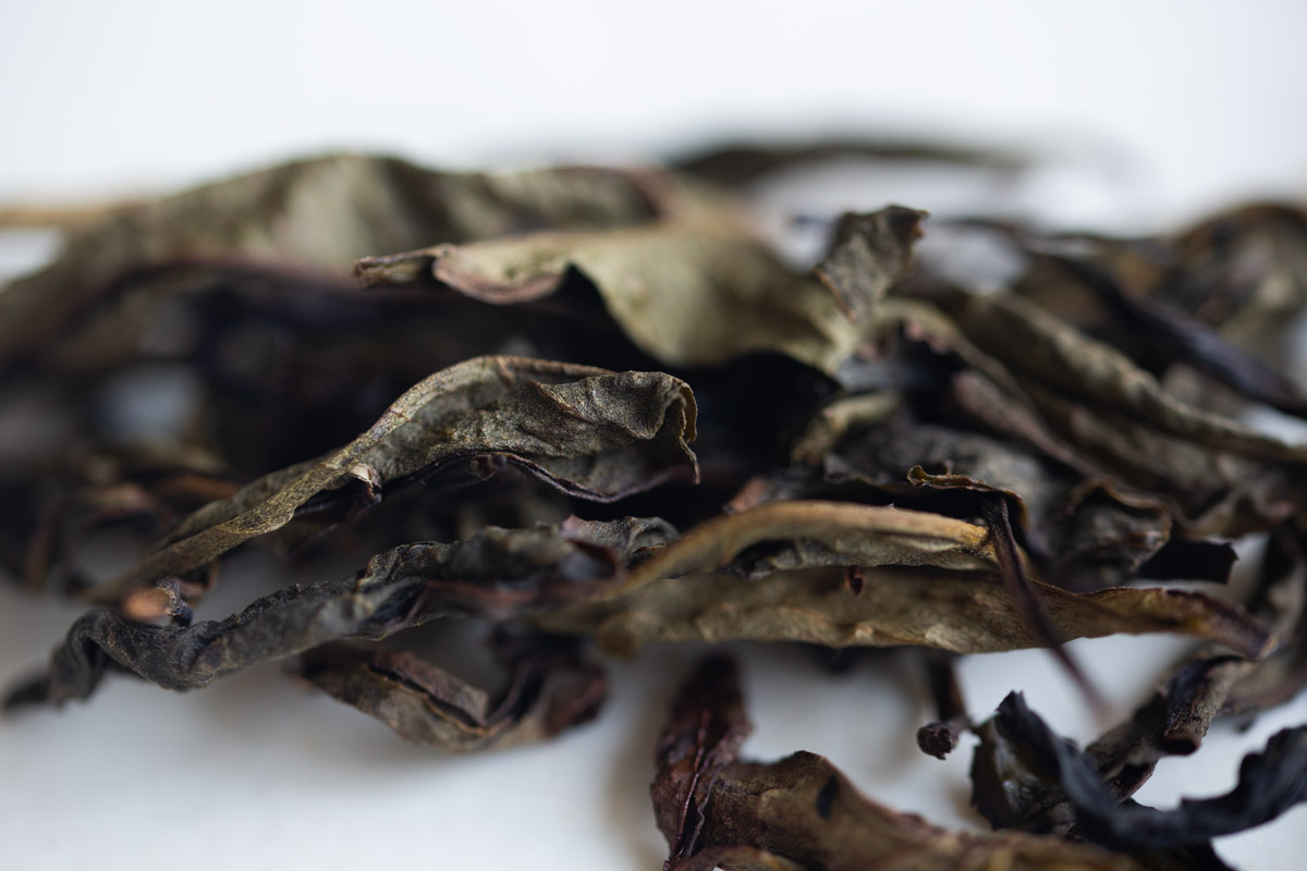 bouquet 2024 spring huangpian dancong oolong 4 | BITTERLEAF TEAS