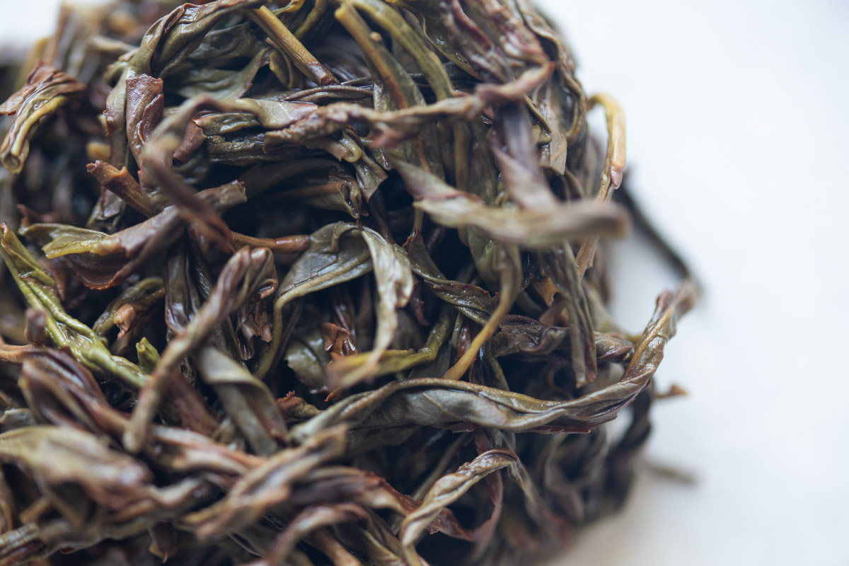 Hot Stuff 2024 Spring Zhuye Dancong Oolong | BITTERLEAF TEAS