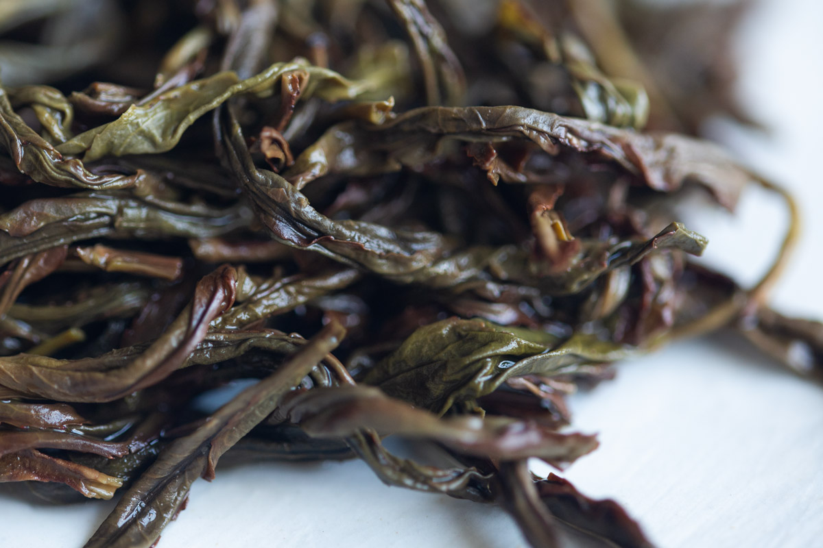 Hot Stuff 2024 Spring Zhuye Dancong Oolong | BITTERLEAF TEAS