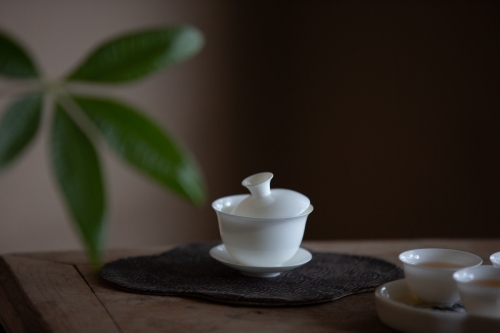 Porcelain Chaozhou Standard Gaiwan