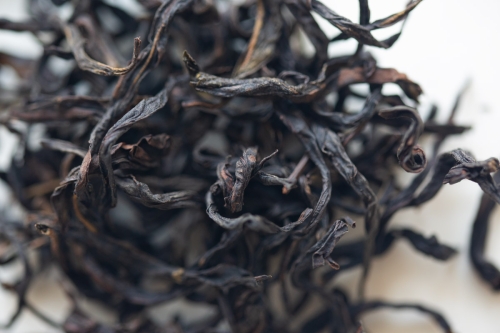 Praise Bee 2024 Spring Milan Xiang Dancong Oolong